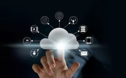 坚守C2B定制模式 慧择如何通过技术开发深耕保险市场