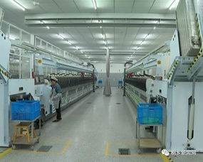 桐乡科技与时尚融合 铸就行业“单打冠军”的技术开发之路