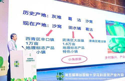 小种子撬动大产业 第五届邢台国际十字花科蔬菜产业大会盛大启帷，展现科技兴农新图景